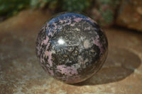 Polished Rhodonite Spheres x 4 From Madagascar - Toprock Gemstones and Minerals 