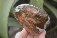 Polished Polychrome Jasper Standing Free Forms  x 6 From Madagascar - Toprock Gemstones and Minerals 
