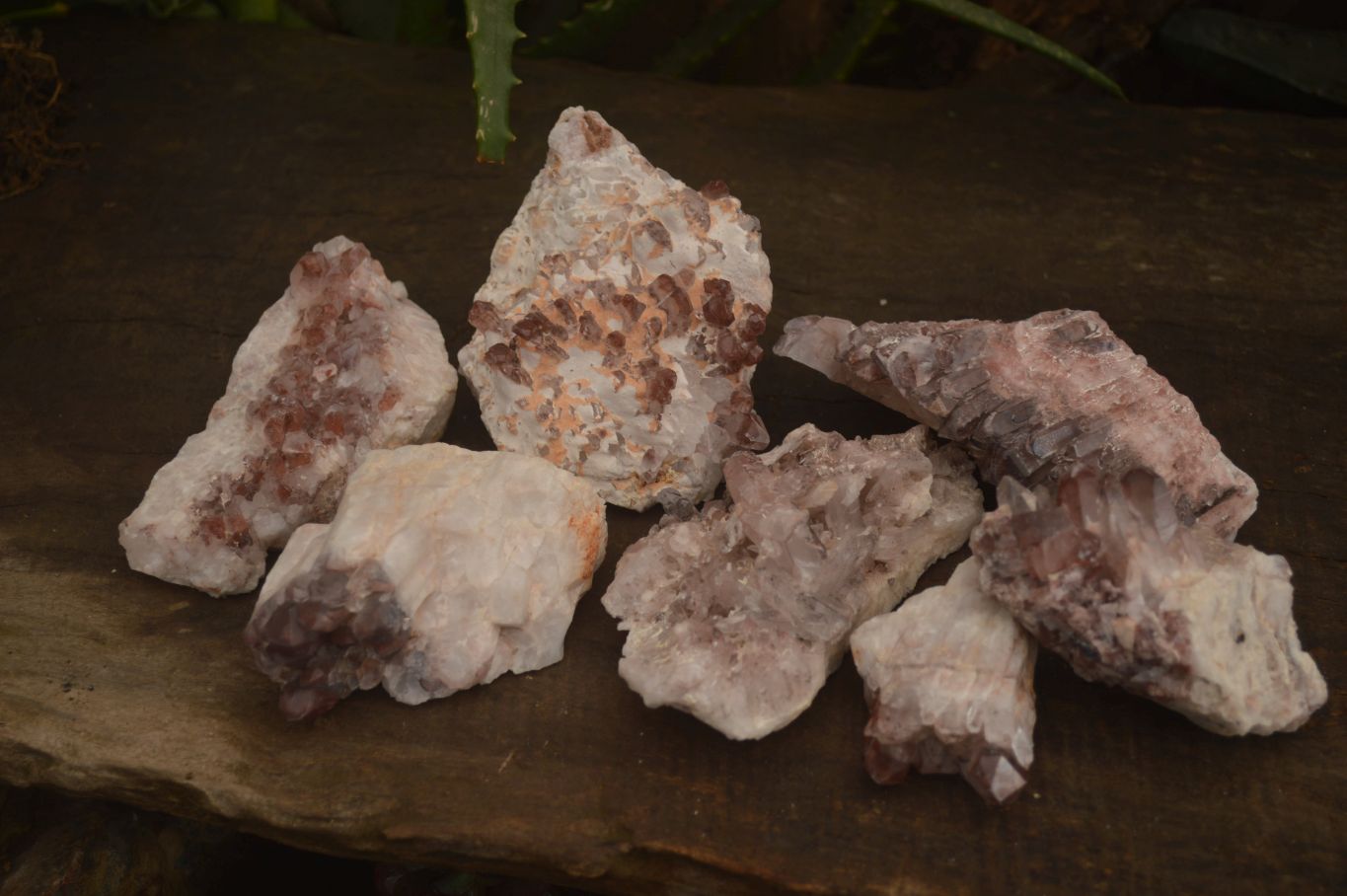 Natural Red Hematoid Phantom Quartz Clusters x 6 From Zambia - Toprock Gemstones and Minerals 