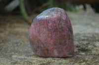 Polished Rhodonite Standing Free Forms x 2 From Zimbabwe - Toprock Gemstones and Minerals 