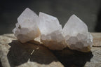 Natural White Spirit Cactus Flower Quartz Crystals x 70 From Boekenhouthoek, South Africa - Toprock Gemstones and Minerals 