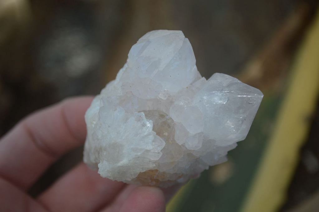 Natural White Cactus Flower Spirit Quartz Specimens  x 12 From Boekenhouthoek, South Africa - Toprock Gemstones and Minerals 