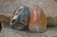 Polished Polychrome Jasper Standing Free Forms  x 6 From Madagascar - Toprock Gemstones and Minerals 