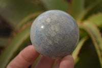 Polished Blue Spotted Spinel Quartz Spheres x 5 From Madagascar - Toprock Gemstones and Minerals 