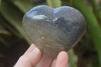 Polished Blue Lazulite Hearts  x 6 From Madagascar - Toprock Gemstones and Minerals 