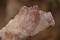 Natural Red Hematoid Phantom Quartz Clusters x 6 From Zambia - Toprock Gemstones and Minerals 