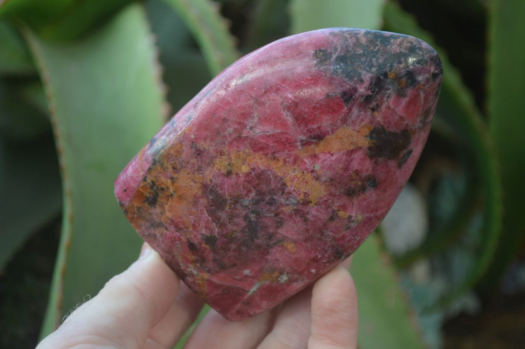 Polished Rhodonite Standing Free Forms x 2 From Zimbabwe - Toprock Gemstones and Minerals 