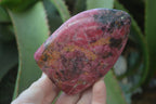 Polished Rhodonite Standing Free Forms x 2 From Zimbabwe - Toprock Gemstones and Minerals 