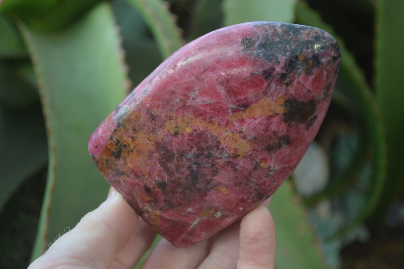 Polished Rhodonite Standing Free Forms x 2 From Zimbabwe - Toprock Gemstones and Minerals 