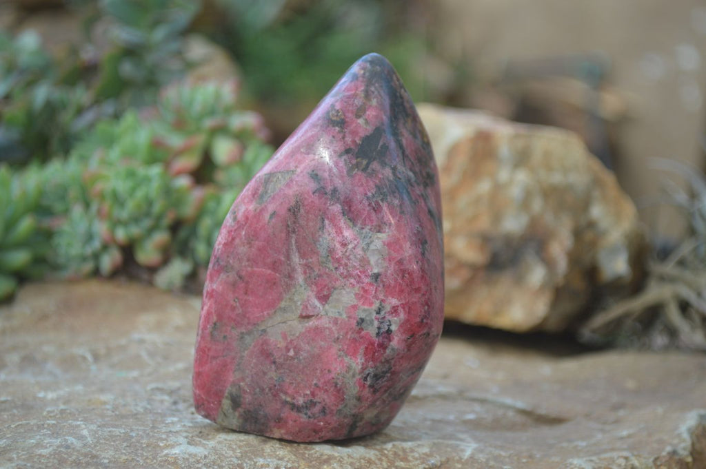 Polished Rhodonite Standing Free Forms x 2 From Zimbabwe - Toprock Gemstones and Minerals 