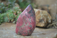 Polished Rhodonite Standing Free Forms x 2 From Zimbabwe - Toprock Gemstones and Minerals 
