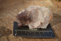 Natural Red Hematoid Phantom Quartz Clusters x 6 From Zambia - Toprock Gemstones and Minerals 