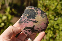 Polished Semi Polished Pink & Black Rhodonite Free Forms  x 5 From Ambindavato, Madagascar - TopRock
