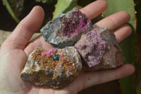 Natural Salrose Cobaltion Dolomite Specimens x 12 From Kakanda, Congo - Toprock Gemstones and Minerals 