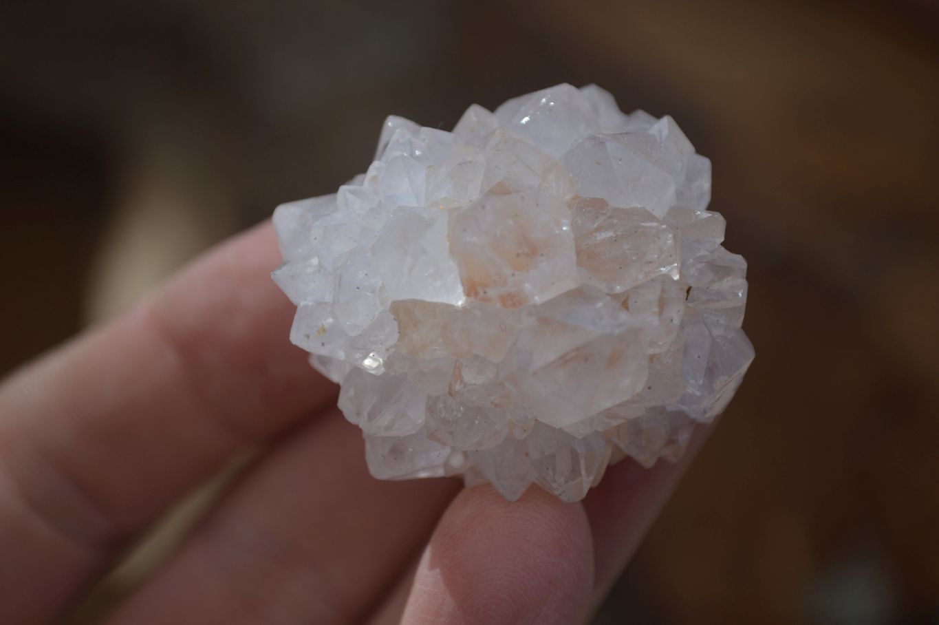 Natural White Spirit Cactus Flower Quartz Crystals x 70 From Boekenhouthoek, South Africa - Toprock Gemstones and Minerals 