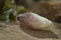 Natural Red Hematoid Quartz Specimens x 24 From Karoi, Zimbabwe - Toprock Gemstones and Minerals 