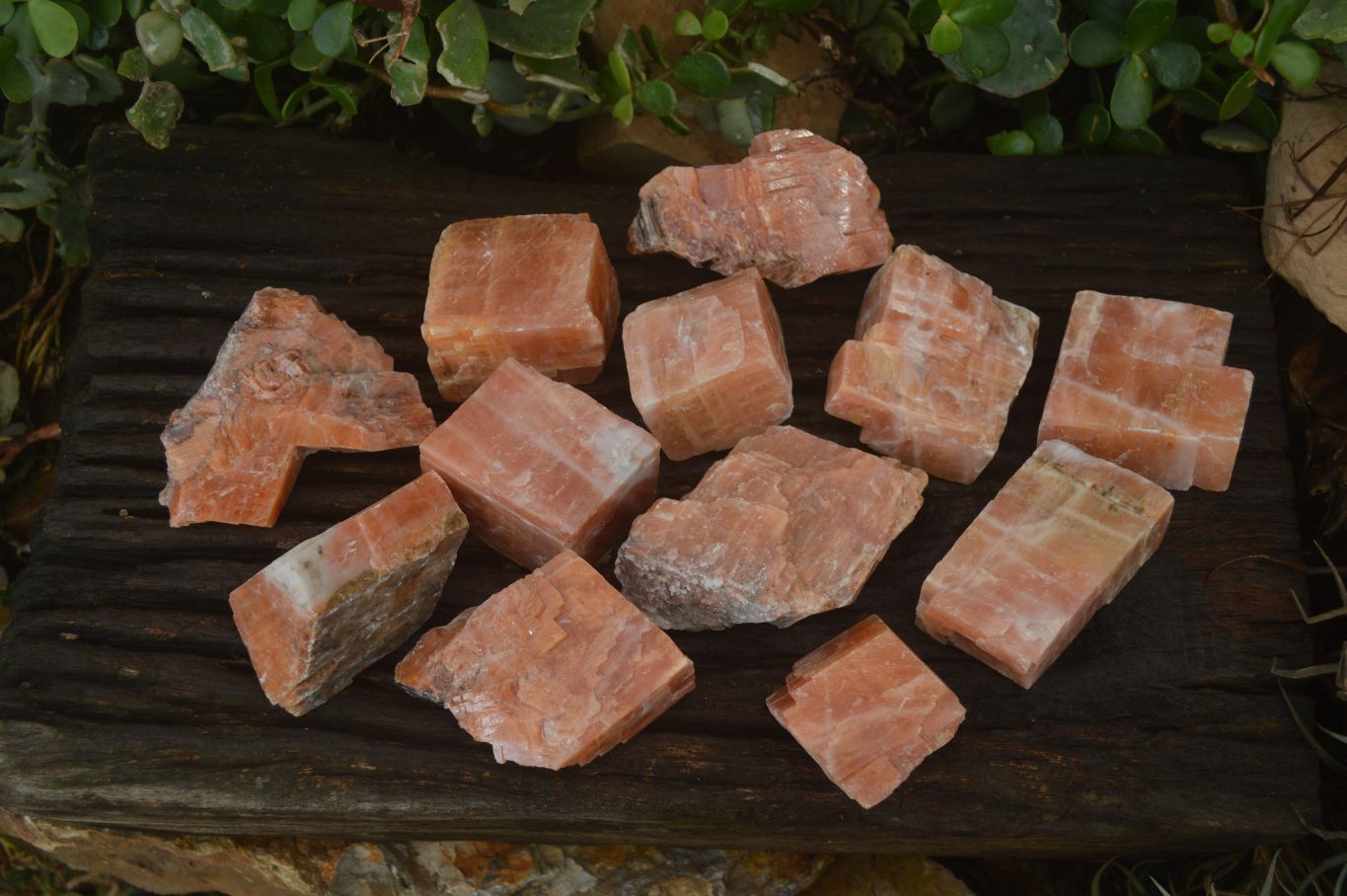 Natural New Sunset Orange Calcite Specimens  x 12 From Spitzkop, Namibia - Toprock Gemstones and Minerals 