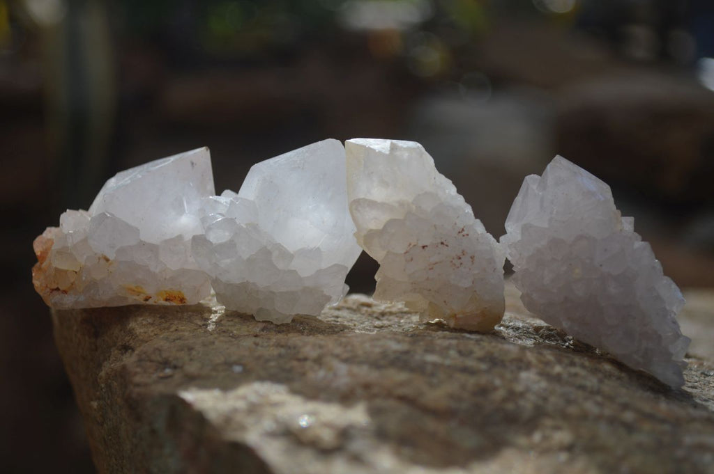 Natural White Spirit Cactus Flower Quartz Crystals x 70 From Boekenhouthoek, South Africa - Toprock Gemstones and Minerals 