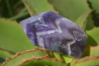 Polished Chevron Amethyst Points x 6 From Zambia - Toprock Gemstones and Minerals 