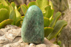 Polished Highly Selected Green Fuchsite Included Quartz Standing Free Forms  x 2 From Madagascar - TopRock