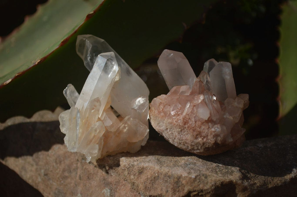 Natural Small Clear Quartz Crystal Specimens  x 35 From Madagascar - Toprock Gemstones and Minerals 
