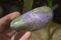 Polished Stichtite & Serpentine Standing Free Forms x 6 From Barberton, South Africa - Toprock Gemstones and Minerals 
