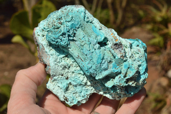 Natural Bright Blue Botryoidal Chrysocolla Specimens  x 3 From Lupoto Mine, Congo - TopRock