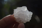 Natural White Spirit Cactus Flower Quartz Crystals x 70 From Boekenhouthoek, South Africa - Toprock Gemstones and Minerals 