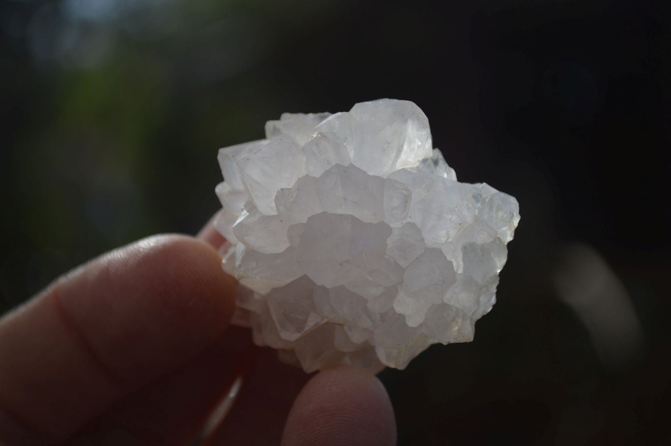 Natural White Spirit Cactus Flower Quartz Crystals x 70 From Boekenhouthoek, South Africa - Toprock Gemstones and Minerals 