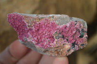Natural Salrose Cobaltion Dolomite Specimens x 12 From Kakanda, Congo - Toprock Gemstones and Minerals 