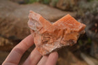 Natural New Sunset Orange Calcite Specimens  x 12 From Spitzkop, Namibia - Toprock Gemstones and Minerals 