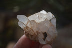 Natural Small Clear Quartz Crystal Specimens  x 35 From Madagascar - Toprock Gemstones and Minerals 