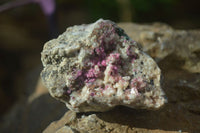 Natural Pink Salrose Cobaltion Dolomite Specimens x 6 From Kakanda, Congo - Toprock Gemstones and Minerals 