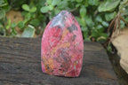 Polished Rhodonite Standing Free Forms x 2 From Zimbabwe - Toprock Gemstones and Minerals 