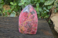 Polished Rhodonite Standing Free Forms x 2 From Zimbabwe - Toprock Gemstones and Minerals 