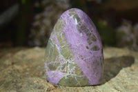 Polished Stichtite & Serpentine Standing Free Forms x 6 From Barberton, South Africa - Toprock Gemstones and Minerals 