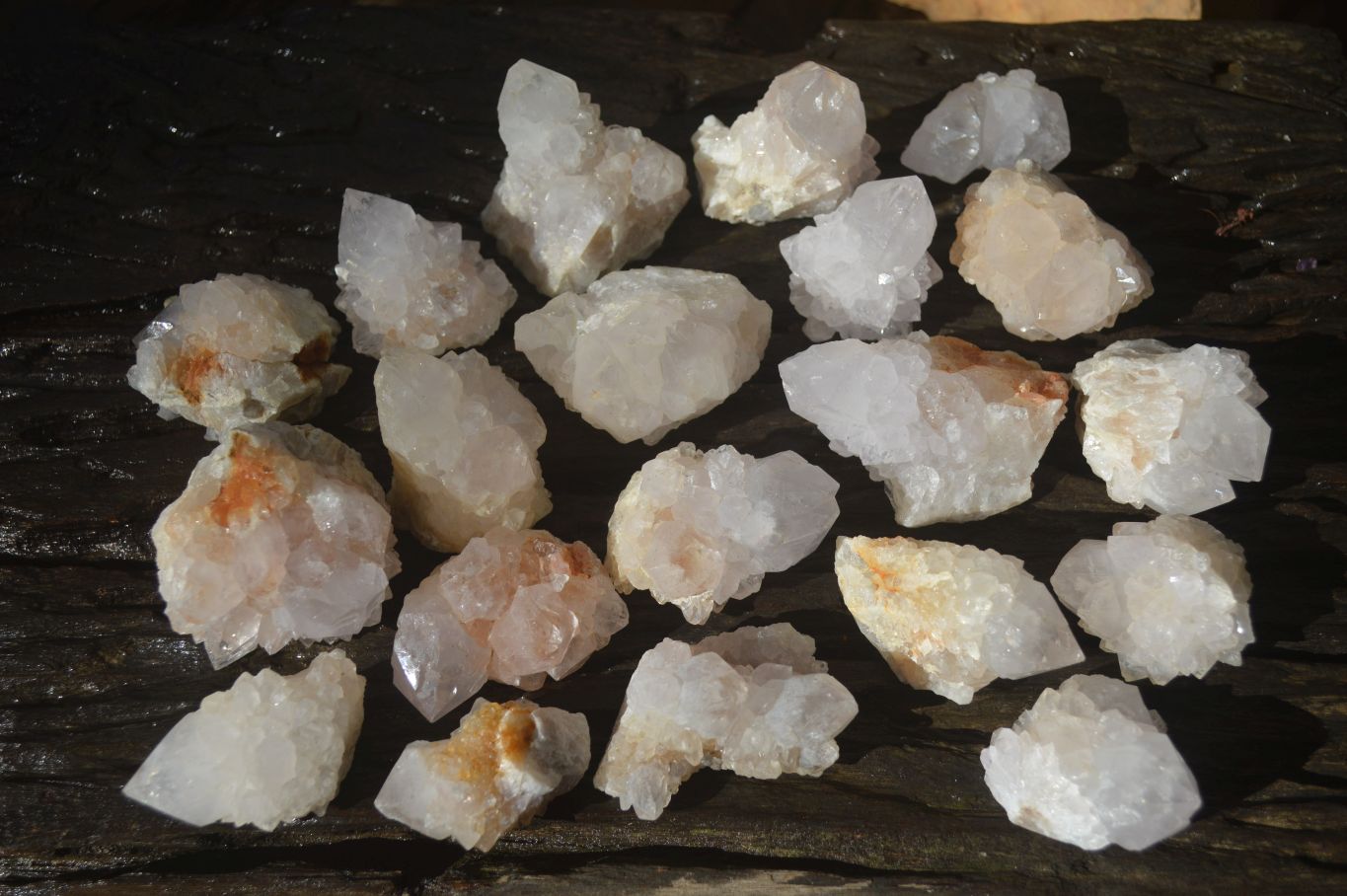 Natural White Spirit Quartz Crystals x 24 From Boekenhouthoek, South Africa - Toprock Gemstones and Minerals 