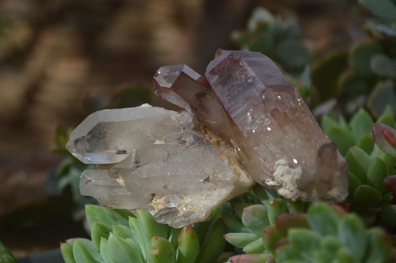 Natural Red Hematoid Quartz Specimens x 24 From Karoi, Zimbabwe - Toprock Gemstones and Minerals 