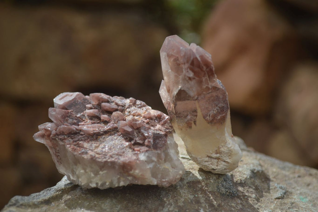 Natural Red Hematoid Quartz Specimens x 24 From Karoi, Zimbabwe - Toprock Gemstones and Minerals 