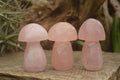 Polished Gemmy Pink Rose Quartz Mushrooms  x 6 From Madagascar - TopRock