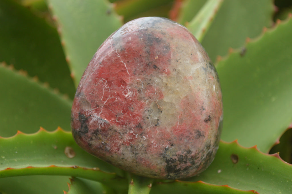 Polished Rare Red Rhodonite Free Forms  x 6 From Zimbabwe - TopRock