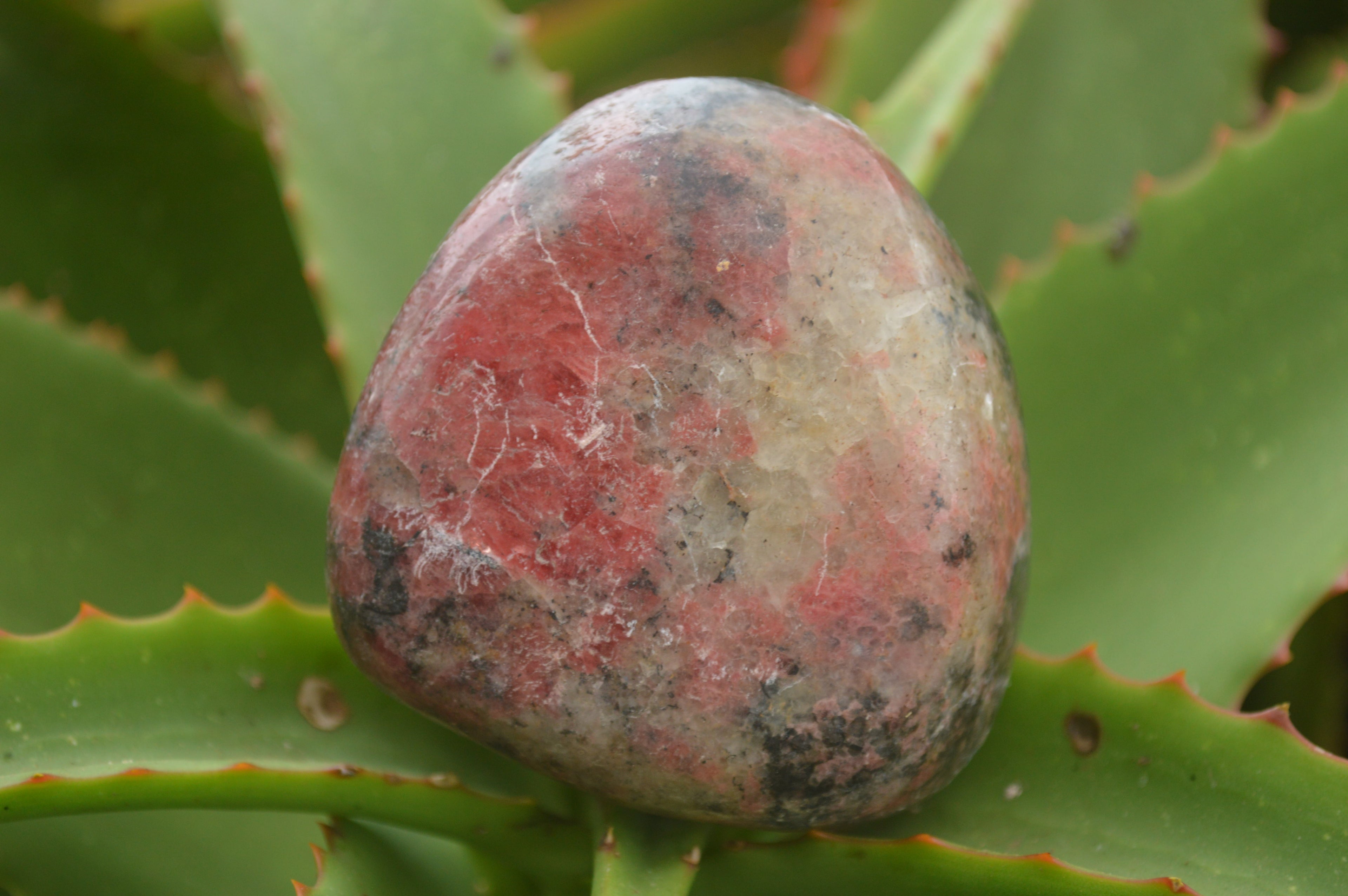Polished Rare Red Rhodonite Free Forms  x 6 From Zimbabwe - TopRock