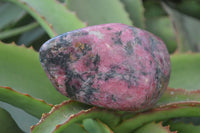 Polished Rhodonite Standing Free Forms x 2 From Zimbabwe - Toprock Gemstones and Minerals 