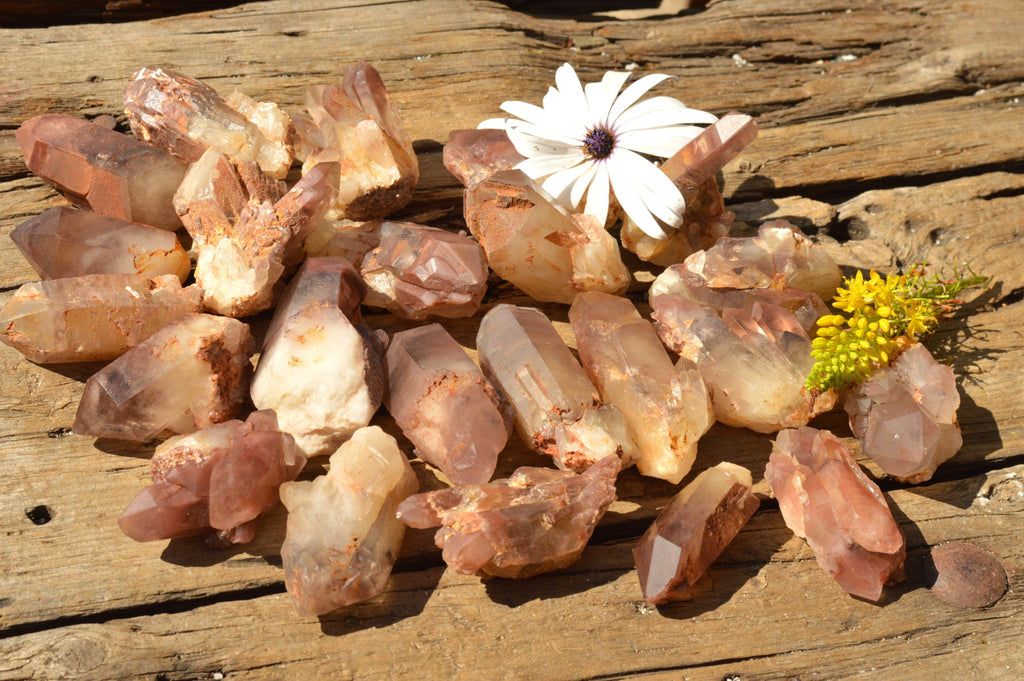 Natural Single Red Hematoid Phantom Quartz Crystals  x 35 From Karoi, Zimbabwe - TopRock