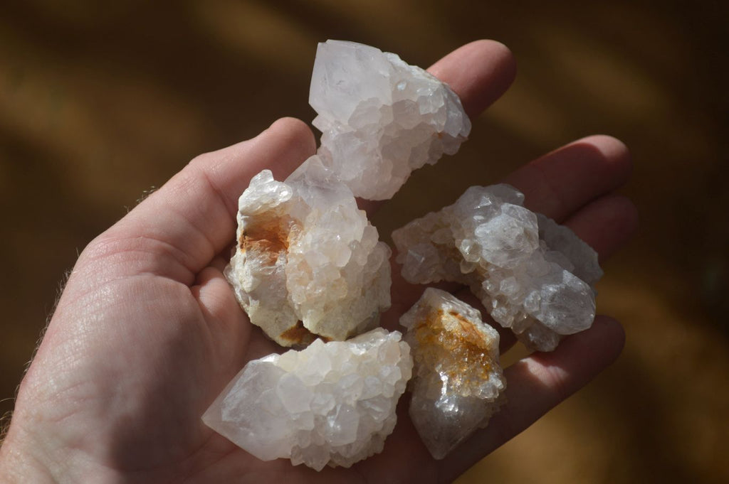 Natural White Spirit Quartz Crystals x 24 From Boekenhouthoek, South Africa - Toprock Gemstones and Minerals 