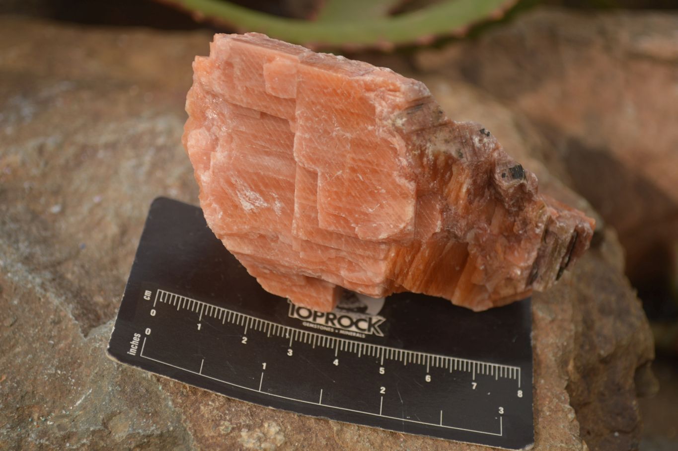 Natural New Sunset Orange Calcite Specimens  x 12 From Spitzkop, Namibia - Toprock Gemstones and Minerals 