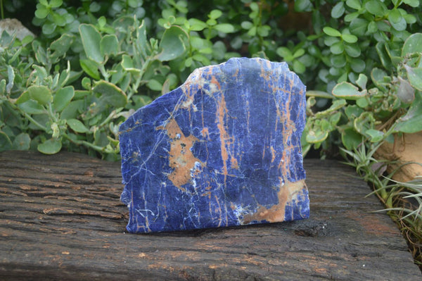 Polished Double Sided Sodalite Standing Slab  x 1 From Namibia - Toprock Gemstones and Minerals 