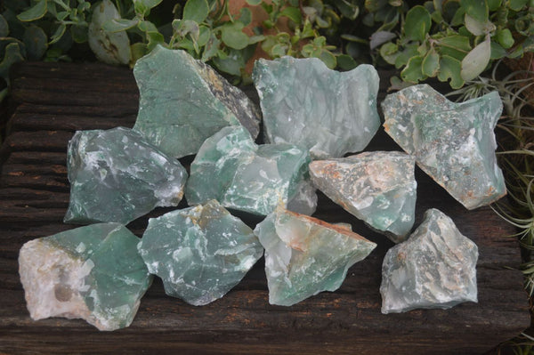 Natural Rough Green Jade Specimens  x 12 From Swaziland - Toprock Gemstones and Minerals 