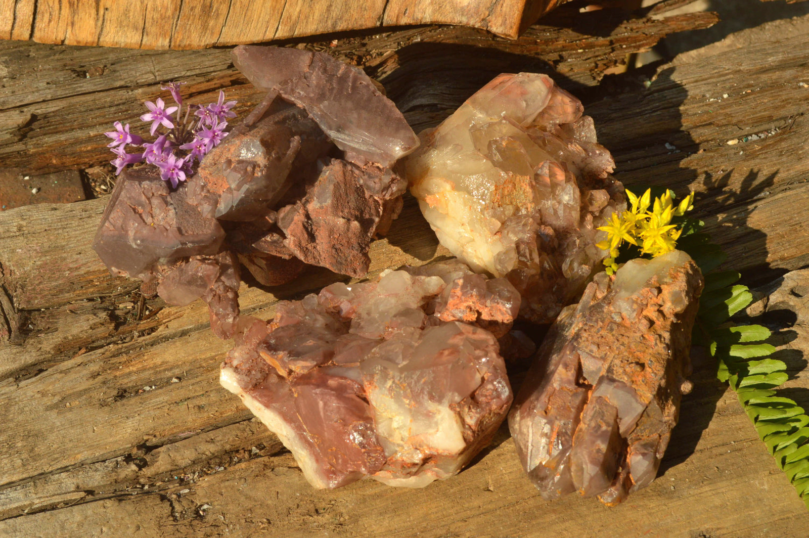 Natural Dusky Red Hematoid Quartz Clusters  x 4 From Karoi, Zimbabwe - TopRock