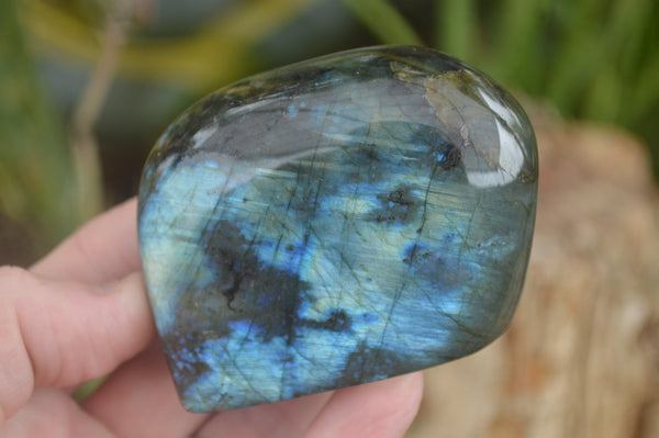 Polished Labradorite Standing Free Forms With Blue & Gold Flash  x 6 From Tulear, Madagascar - TopRock